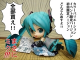 hirame079554