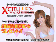48peke_top_240