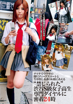 dvdes235[1]
