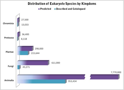 distribution of eukaryote species by kingdoms