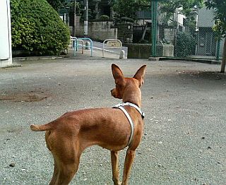 粍(2007.11.11)