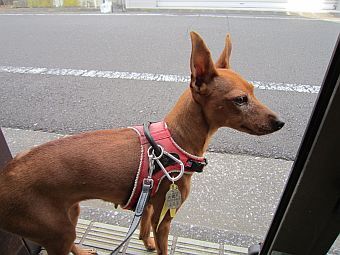 粍(2010.12.07)