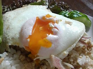 夏ご飯