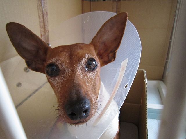 粍(2010.12.08)