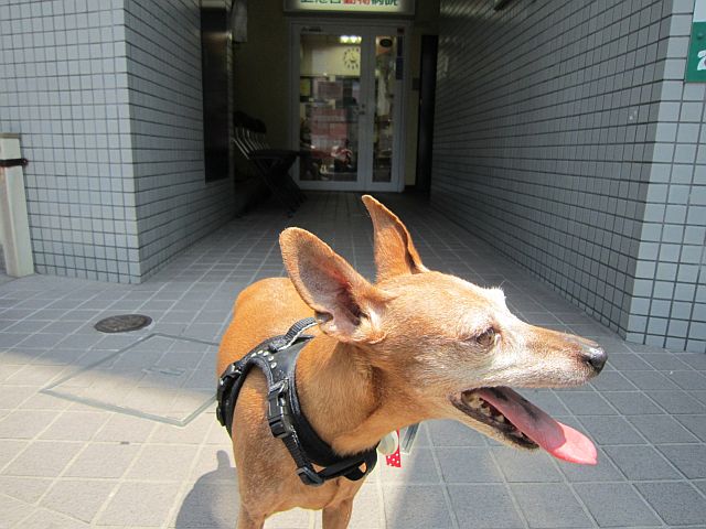 粍(2014.07.26)