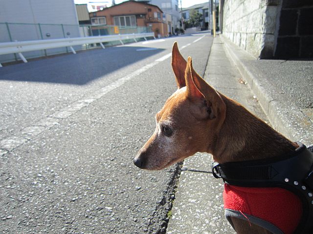 粍(2012.11.25)