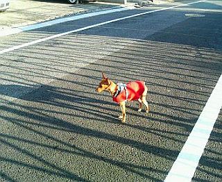 粍(2007.12.23)