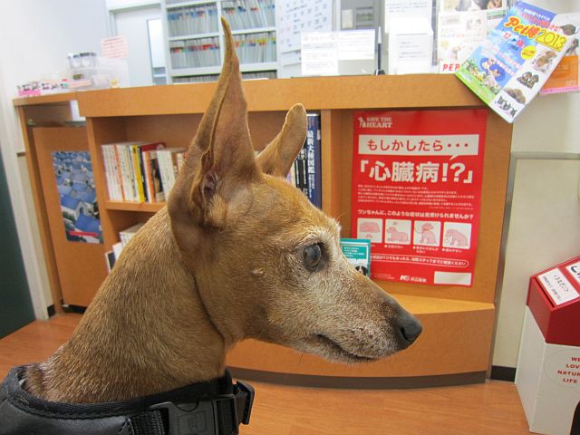 粍(2012.12.29)