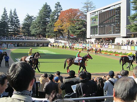 本馬場