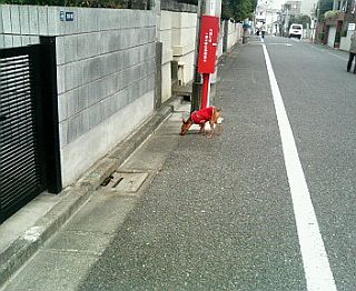 粍(2007.12.08)