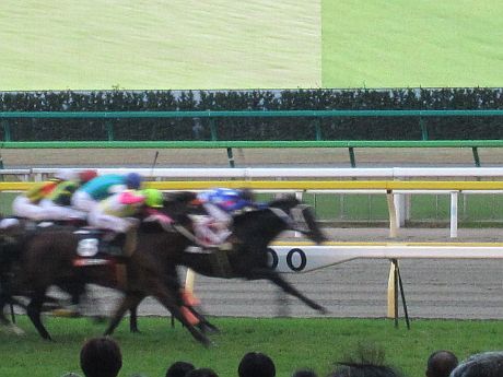 本馬場