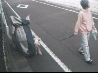2009年11月1日AM08:08