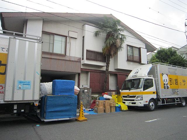 転居