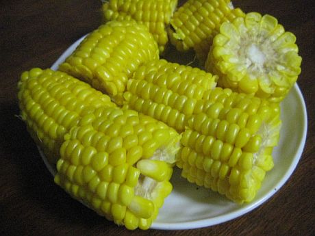 頂き物
