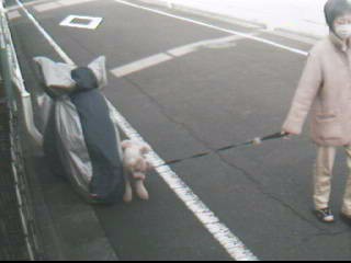 2009年11月10日AM07:51