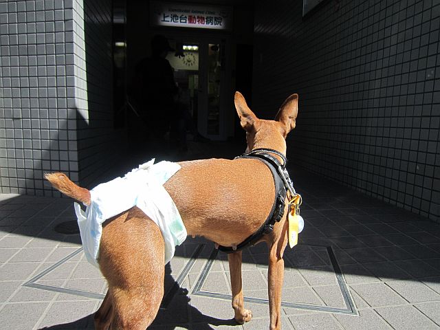 粍(2013.09.28)