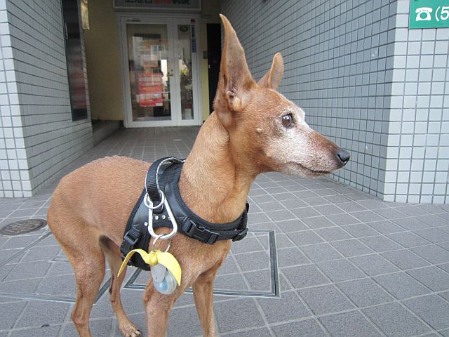 粍(2013.11.30)
