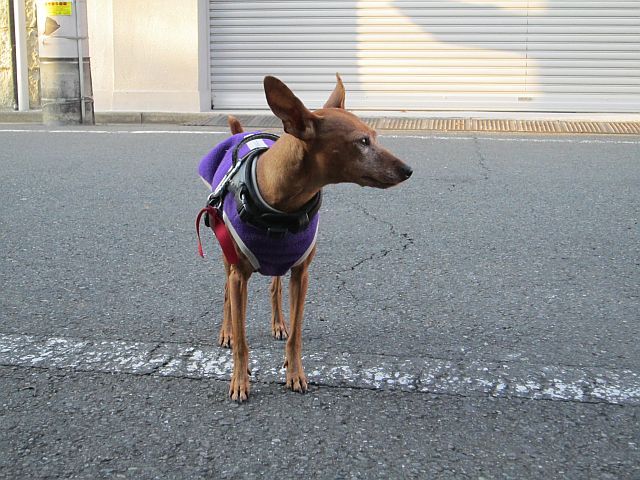 粍(2011.11.26)