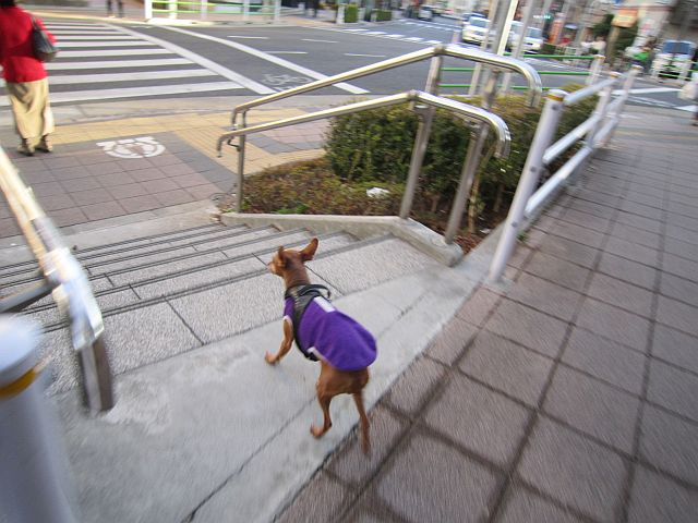 粍(2012.12.29)