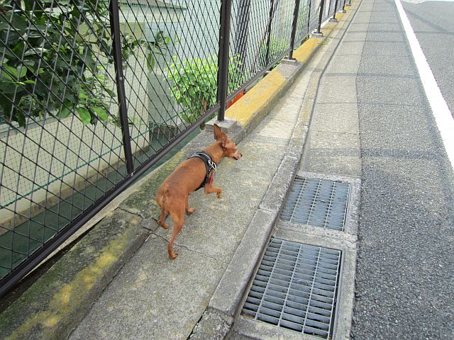 粍(2012.09.22)