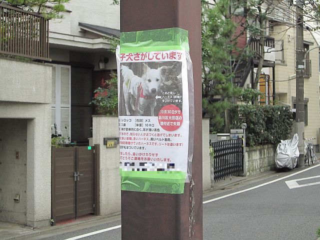 粍(2011.11.10)