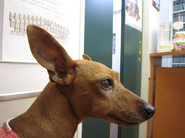 粍(2010.12.07)