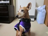 粍(2012.12.29)