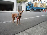 粍(2011.11.15)