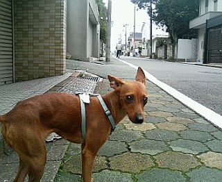 粍(2007.11.11)
