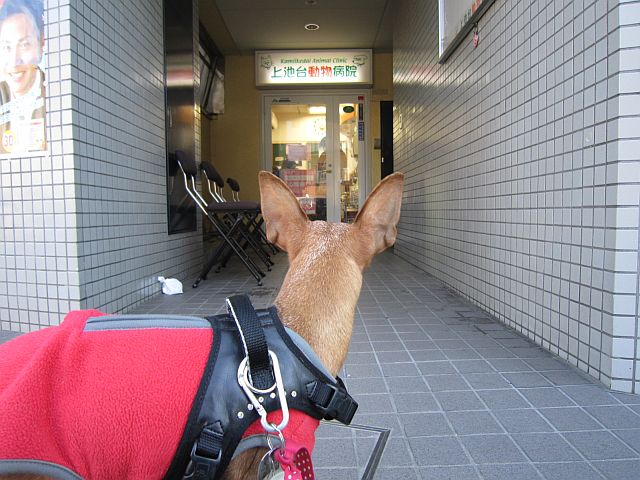 粍(2014.12.27)