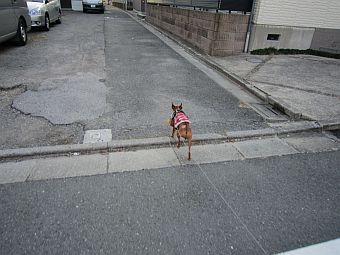 粍(2010.12.25)
