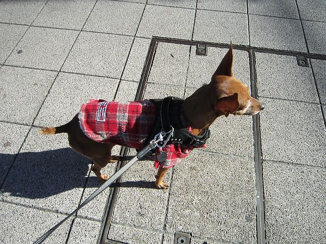 粍(2011.12.24)