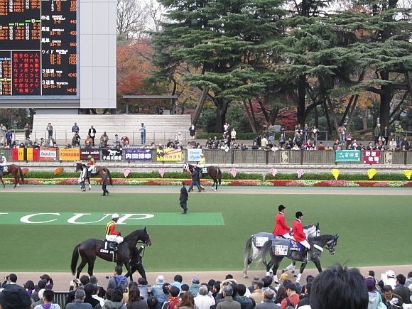 本馬場