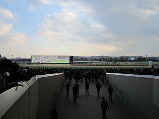 本馬場