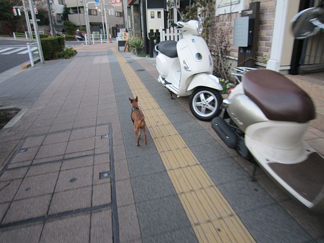 粍(2013.11.30)