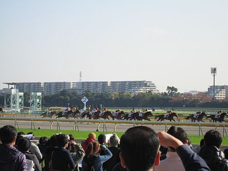 本馬場