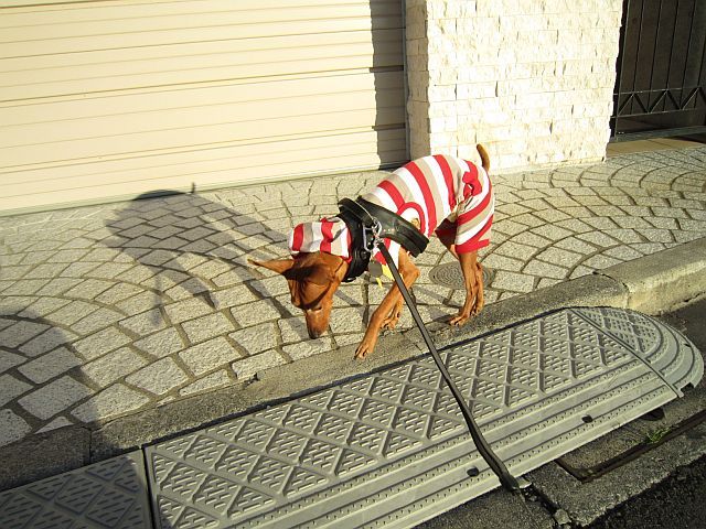 粍(2010.12.08)