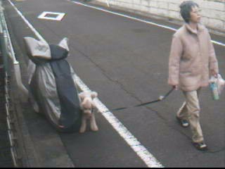 2009年10月28日AM08:21