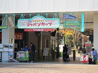本馬場