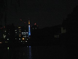 メンテOFF(2010.06.19)