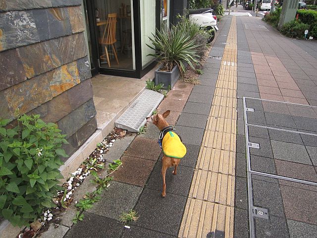 粍(2015.09.26)