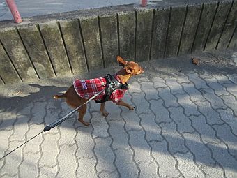 粍(2011.12.24)