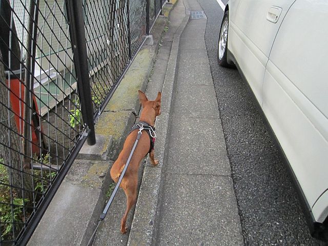 粍(2011.11.12)