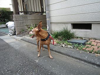 粍(2014.07.26)