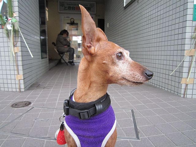 粍(2012.12.29)