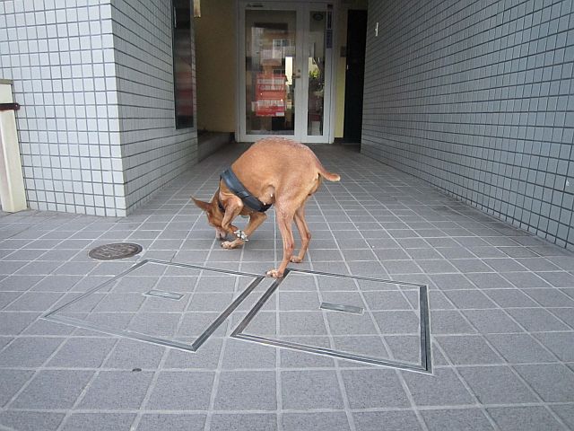 粍(2013.11.30)