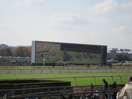 本馬場