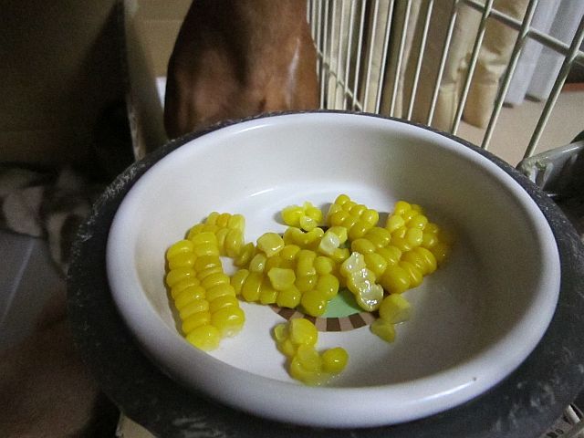 頂き物