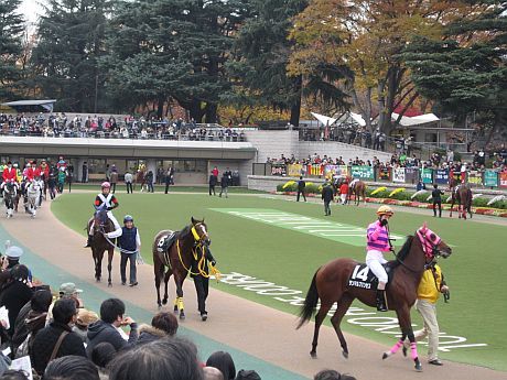 本馬場