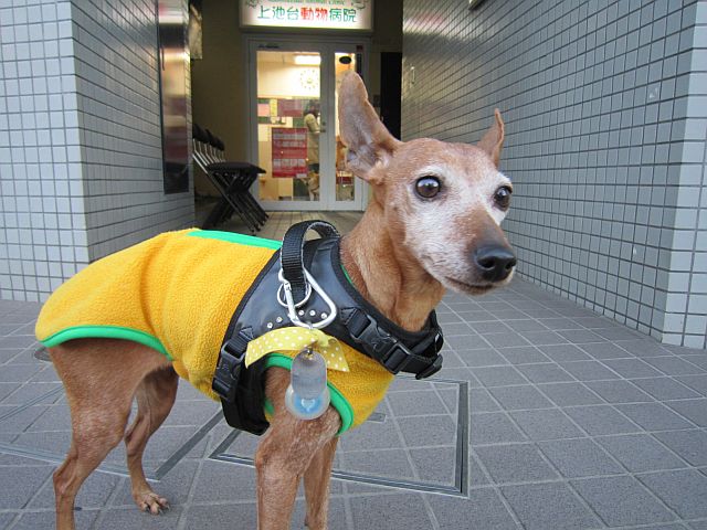 粍(2013.12.28)